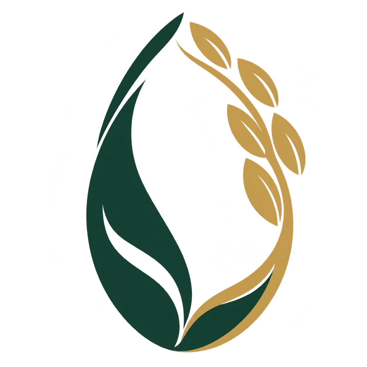 Vietnam Fresh Rice